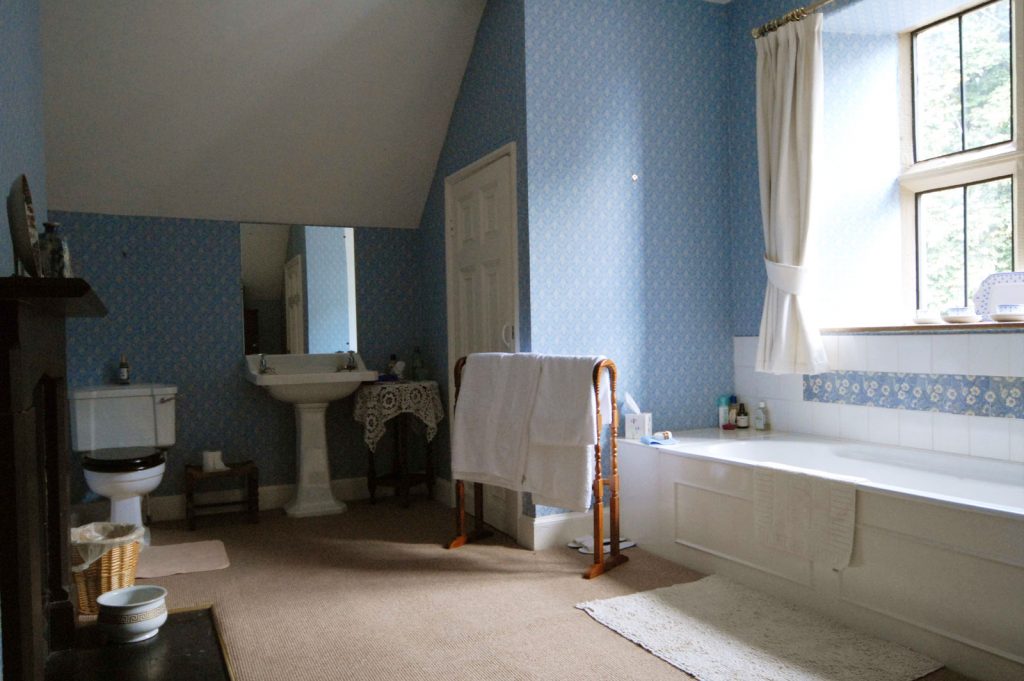 Bathroom-Blue at Pentrehobyn Hall